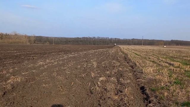 культиватор КПН-3-Ш в роботі.АРК-ГРУП