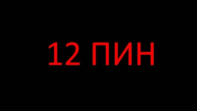 Пины мультка. 12 пин мультика.