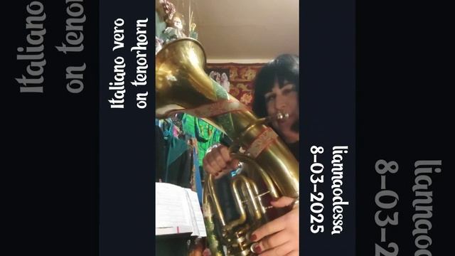 Italiano vero на баритоне (теноргорн) . Miraphone