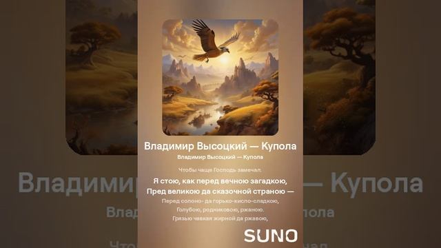 Владимир Высоцкий — Купола