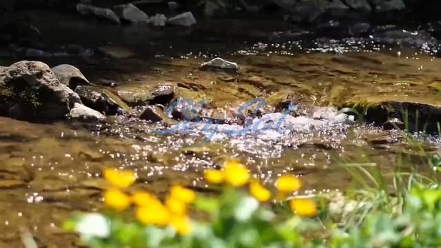 Медитация с шаманским бубном "очищения дома от негативной энергии"