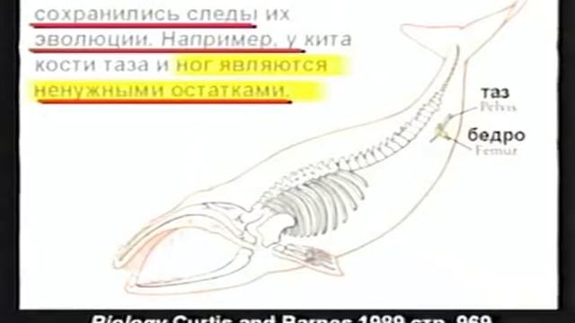 Что находится в учебниках - 04 - Кент Ховинд (Kent Hovind)