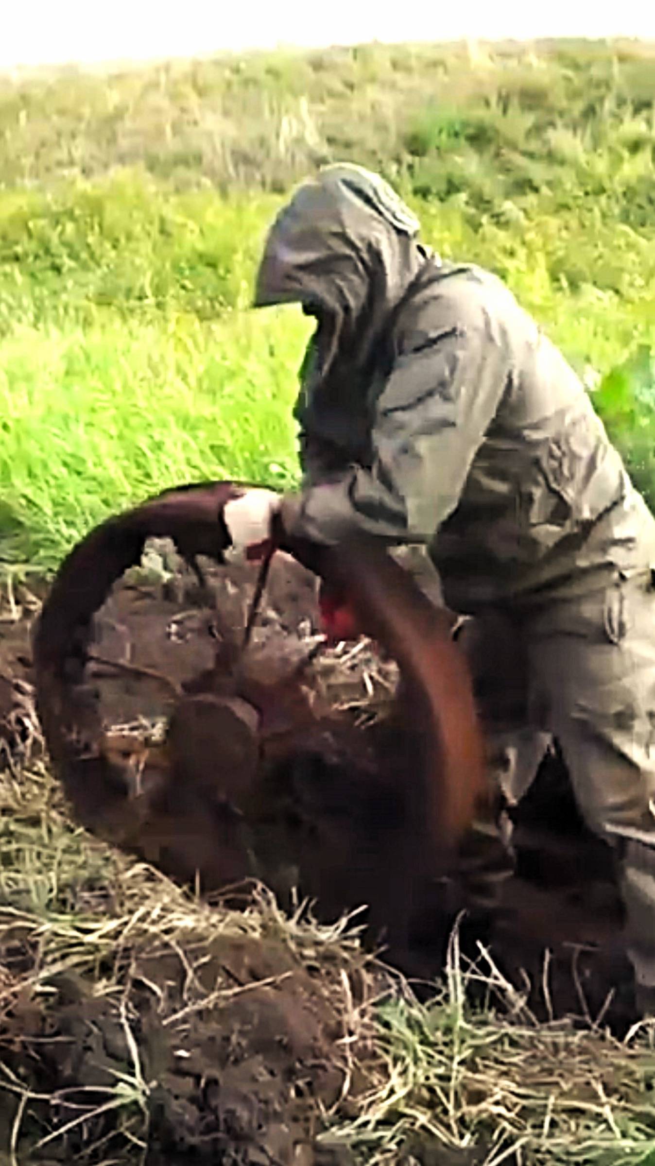 От этих находок замирало сердце.