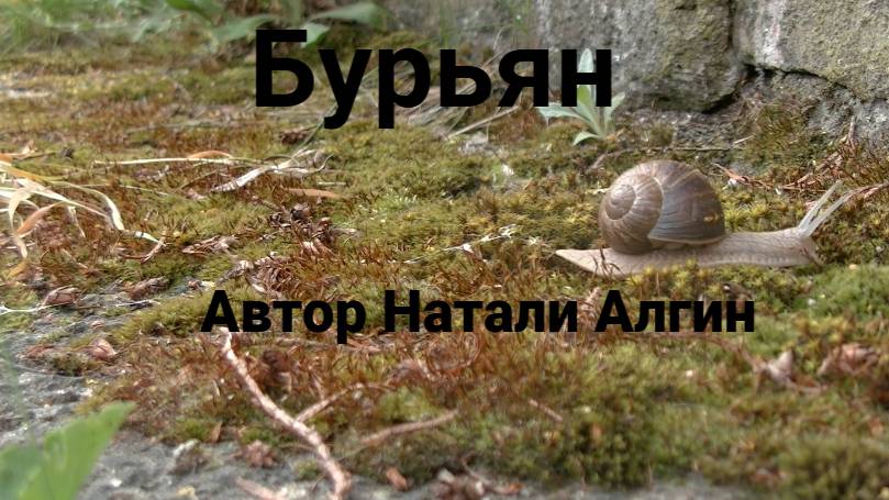 Бурьян