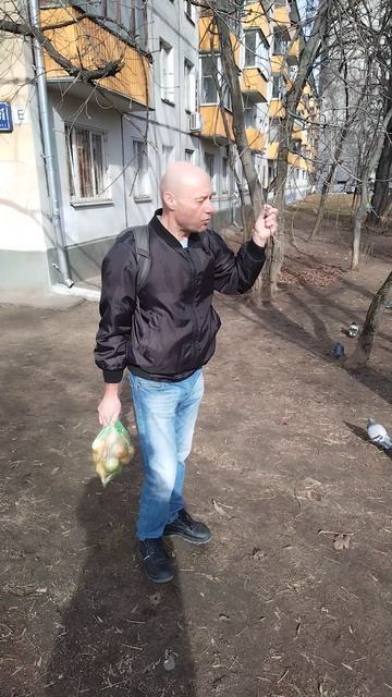 СЕГОДНЯ УТРОМ ПОШЕЛ НА ТРЕНИРОВКУ, УВИДЕЛ, ЧТО УЖЕ ТЕЧЕТ С ВЕТВЕЙ КЛЕНОВЫЙ СОК! ☘️✌️✊😎КТО НЕ ЗНАЕТ