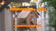 Кормушка для птиц своими руками как сделать пошагово (91) 🪚🪛🔨 Идеи для дачи и сада❣️