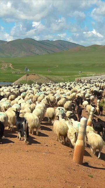 Путешествие по красивым местам