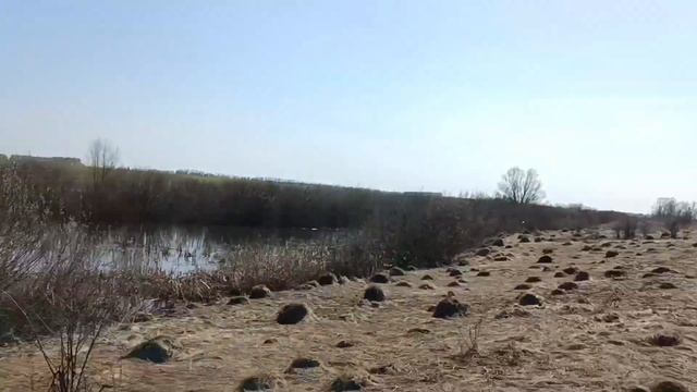 деревня Шушпанка (Гнидовка) вид со стороны.