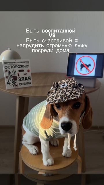 Мы или не мы?