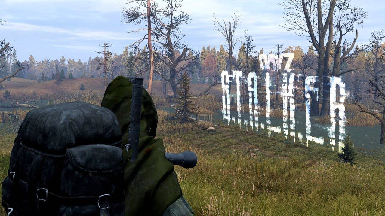 DAYZ  S.T.A.L.K.E.R  PVE