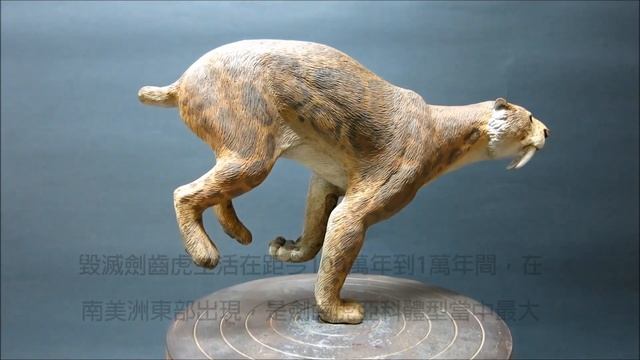 YU7 ART:10th scale Smilodon populator（毀滅劍齒虎）