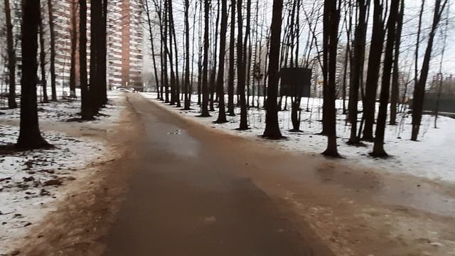 17.02.2020. Район Переделкино.