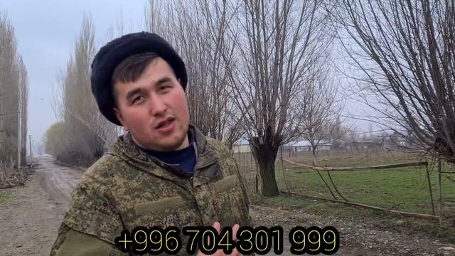 Дони моЭстро ЖАРЫП ТАШТАДЫ БЕСМЕРТНЫЙ ДЖО✨️20 марта 2022 г.