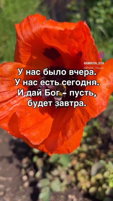Мудрые слова