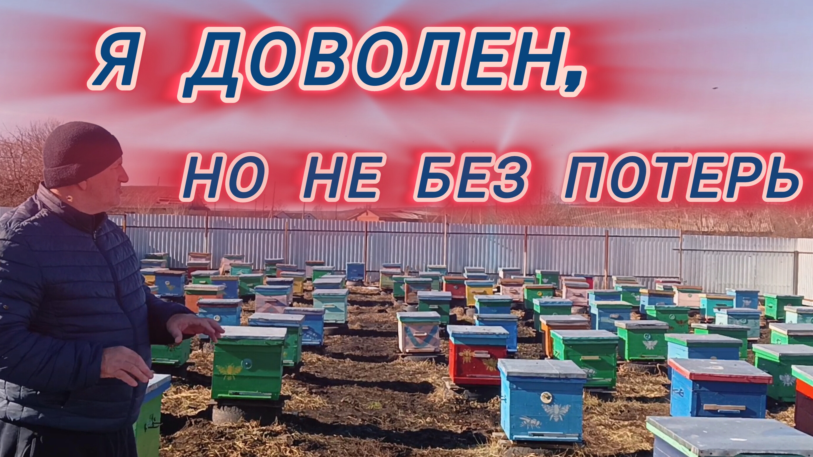 Я доволен, но не без потерь 🐝