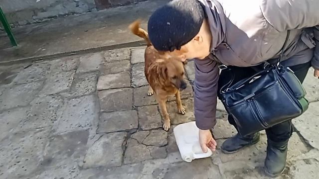 Запах весны!🐶