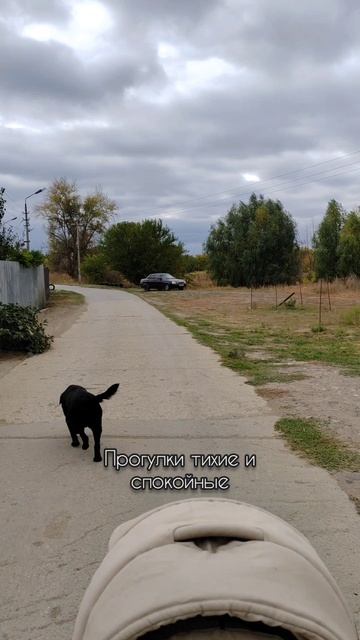 Жизнь Ведьмы-Отшельника🌿