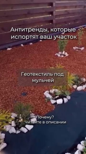 🙂Антитренды, которые испортят ваш сад. Подробно в комментарии