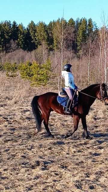 Ульяна на Аквилоне, первый выезд в весенние поля. #horse #аквилон #ксккаспер #kskcasper