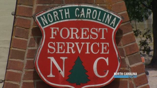 NC State Nursery - A Land of 15 Million Trees