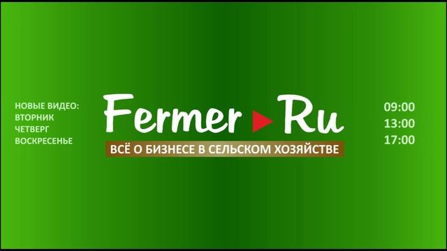 Дороги  Дагестана  От Камилуха до Тляраты за 15 минут