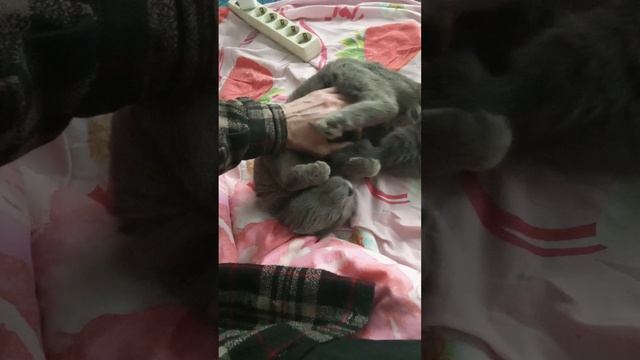 Дыма Львёнок.mp4