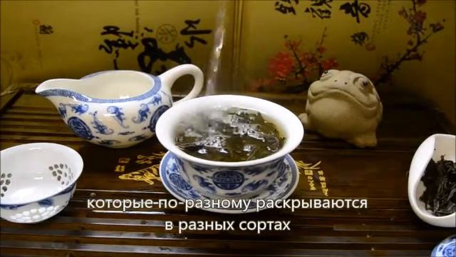 Гуандунские улуны - элита китайского чая.