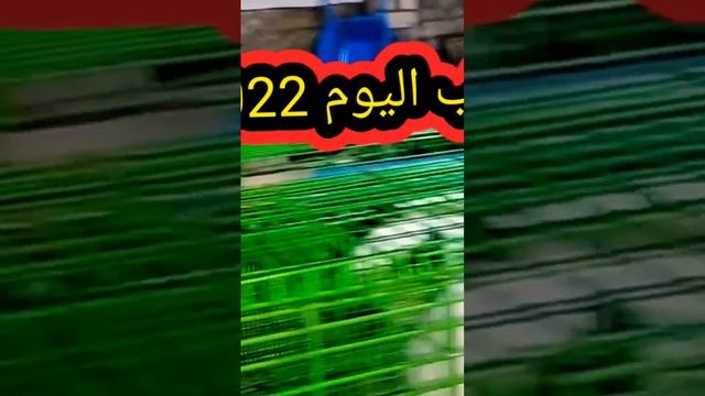 اسعار إلارانب في جميع المحافظات فى مصر