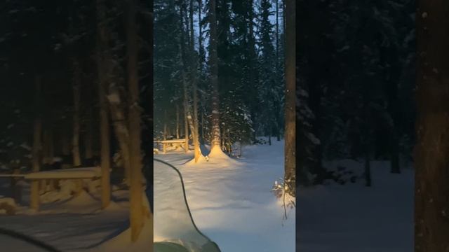 Отдых зимой в тайге!