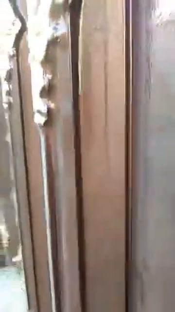 ворота самарканда