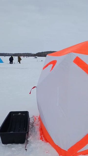 Зимняя рыбалка на Шушпанском водохранилище #рыбалка #лещь Winter fishing on the Shushpan reservoir