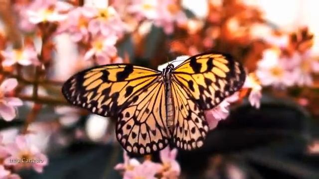 ERNESTO CORTAZAR -  Romantic Piano Love Songs - Greatest Hits
