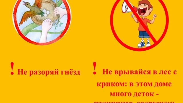 правила поведения в природе