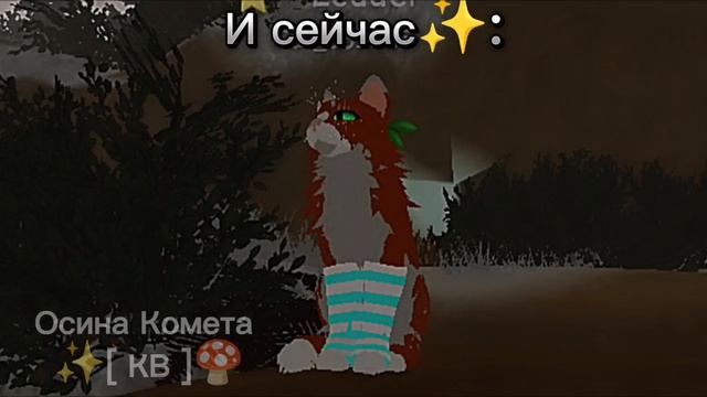 Видосик от Осиной Кометы✨🍄