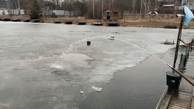 Светлые Горы 10.03.2025г.