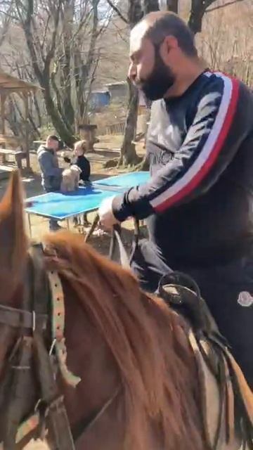 ТОСТ!!!