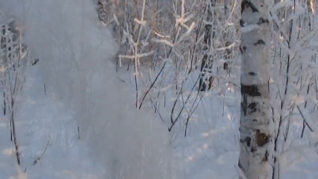 Алтай в серебре Altai in silver