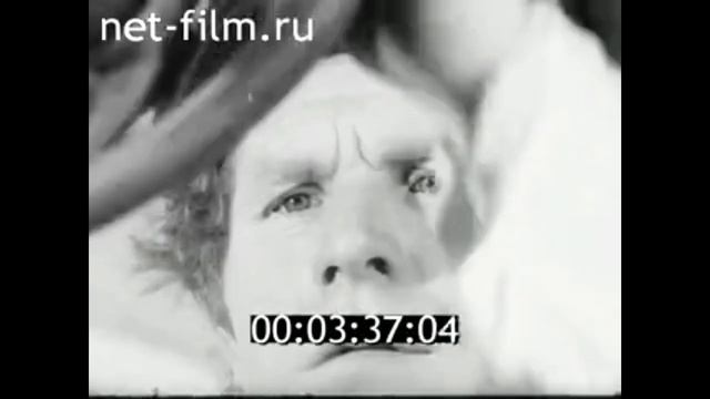 1977г. совхоз Тимирязевский Славский район Калининградская обл
