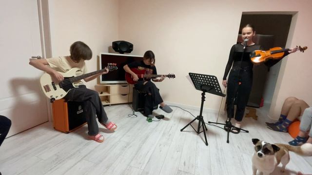 Червона рута (Володимир Івасюк кавер)