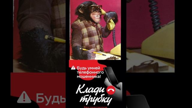 МИКС от Кинолога 🐕