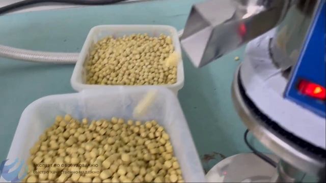 Ротационный таблеточный пресс