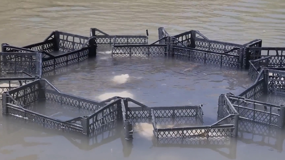 БОЛЬШАЯ РЫБА🐠🐋🐟Рыбалка с пластиковыми ящиками _ ОЧЕНЬ ПРАКТИЧНО