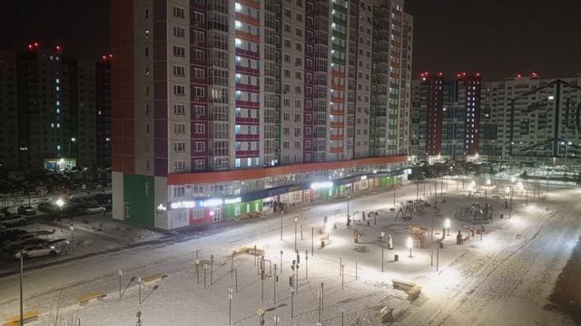 1000016438.mp4 #Tyumen #snow