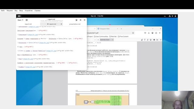 simmod11 Создание отчета