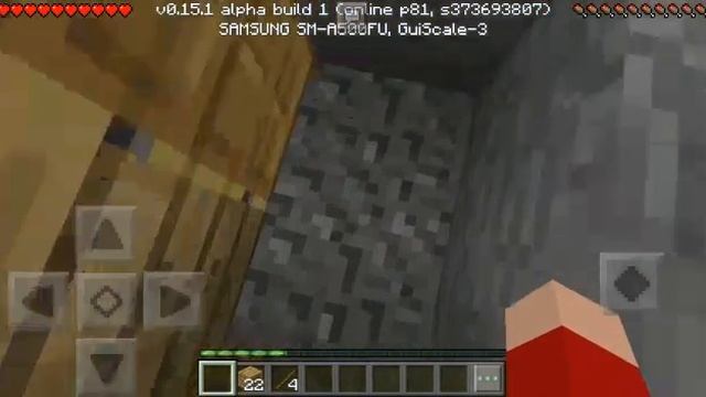 Due Imbecilli su minecraft Pe /w Ronny43347