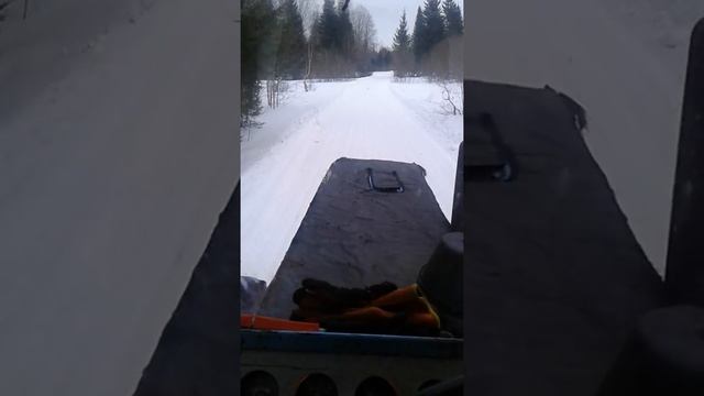 Мтз 82 трелевка леса)... Из архива...