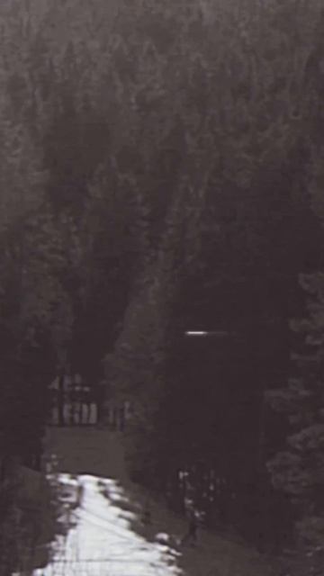 black and white nature ♥️ #karelia #bnw #pov #shorts  #music #nature ✨