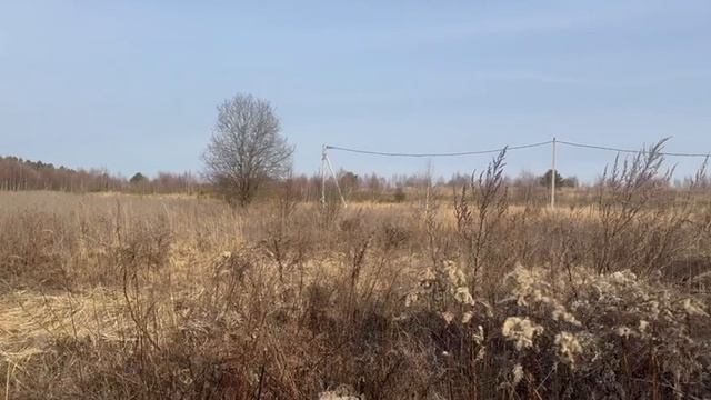 50:32:0030204:507 поселок Новоселки, земельный участок 29а