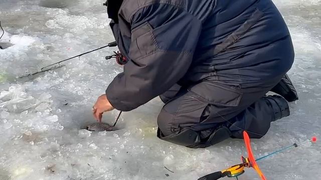 10.03.25 г. РК Волна