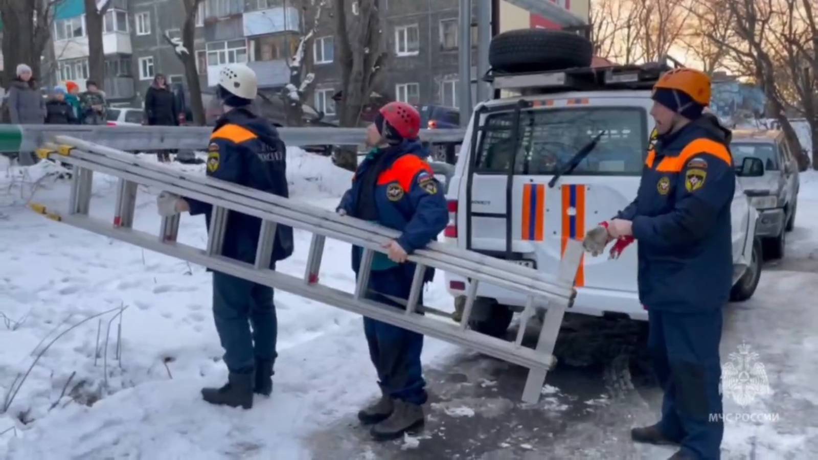 Горожане вызвали МЧС для спасения кота